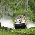 Exploring the Vibrant Southeast: Must-Visit Places and Festivals